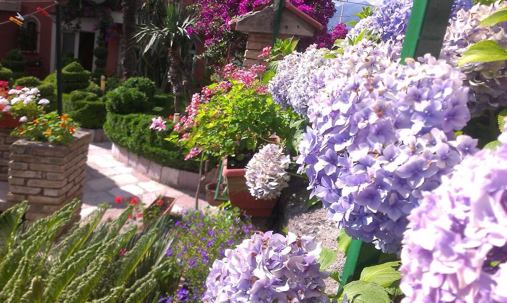 Apartment City Garden Kotor Room photo